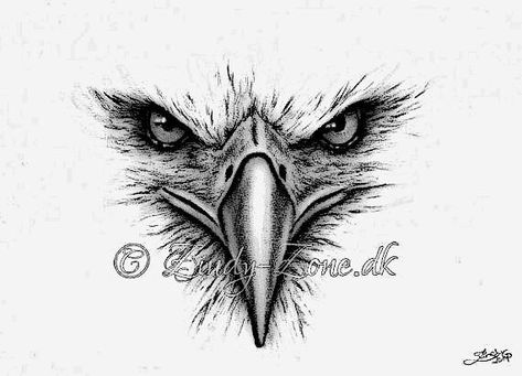 Eagle Drawing Tattoo, Eagle Eyes Tattoo, Eagle Face Tattoo, Egal Tattoo, Eagle Tattoo Men, Eagle Neck Tattoo, Eagle Tattoo Ideas, Owl Eye Tattoo, Eagle Head Tattoo