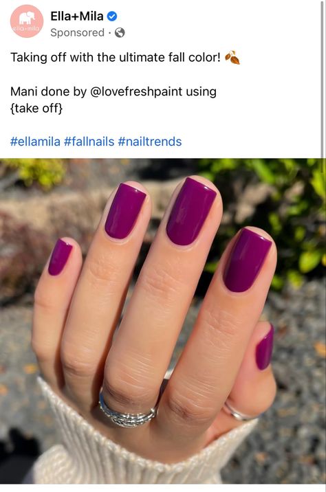 Fall Magenta Nails, Bright Fall Nail Ideas, Shades Of Purple Nail Polish, In Between Summer And Fall Nails, Dark Purple Gel Nails Ideas, Classy Dipped Nails, Fall Nails 2023 Purple, Plum Pedicure, November Nails Purple