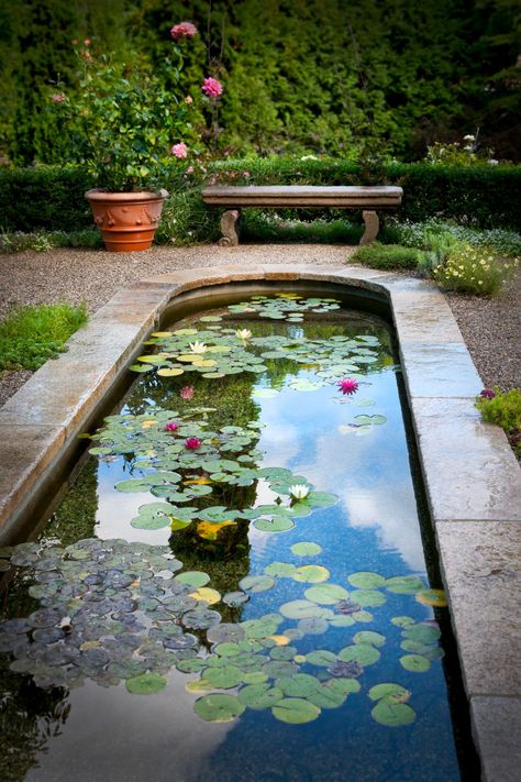 A gravel patio surrounds the elegant koi pond, and stone benches are placed throughout the space to allow people to enjoy the tranquility. Mermaid Palace, Large Backyard Landscaping, Building A Pond, Fountains Backyard, Gravel Patio, Meditation Garden, Pond Landscaping, Backyard Water Feature, Natural Pond