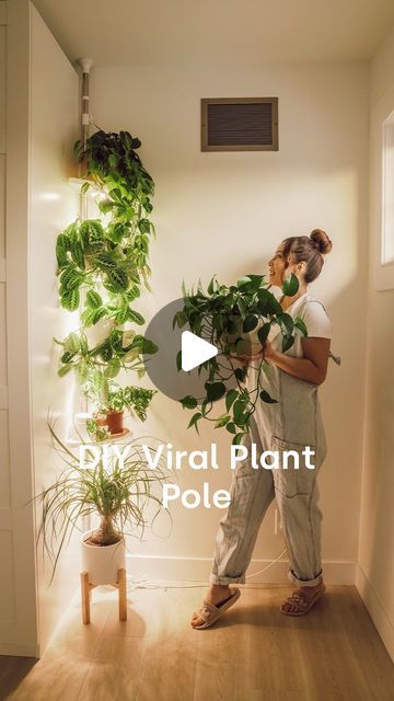 Anh Lin on Instagram: "This is still one of my fave plant-related DIYs, inspired by @houseplusplant! ❤️ Comment “LINK” & I’ll send you the materials I used!

I’m reposting this with a watermark because it’s one of my most stolen videos. Wish I didn’t have to, but that’s the world we live in! 😣

#trendingreels #trending #garden #gardening #gardeninglife #gardendesign #gardeninspiration #gardenlove #gardendecor #gardenlovers #plantlover #plantlife #plantlove #houseplants #houseplantsofIG #indoorplants" Living Room Plants Decor Small Spaces, Bookshelf Plants Decor, Plant Pulley System, Plant Set Up Indoor, Diy Plant Trellis, Plant Wall Ideas Indoor, Plant Room Ideas, Living Room Plants Decor, Airbnb Apartment