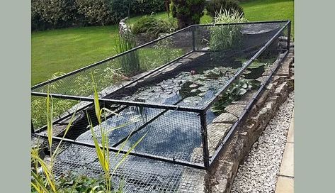 Bespoke Raised Steel Pond Cover, Mr Hoyte - Cornwall Koi Pond Backyard, Above Ground Pond, Diy Ponds Backyard, Raised Pond, Pond Covers, Pond Netting, Fish Pond Gardens, Pond Kits, Patio Pond