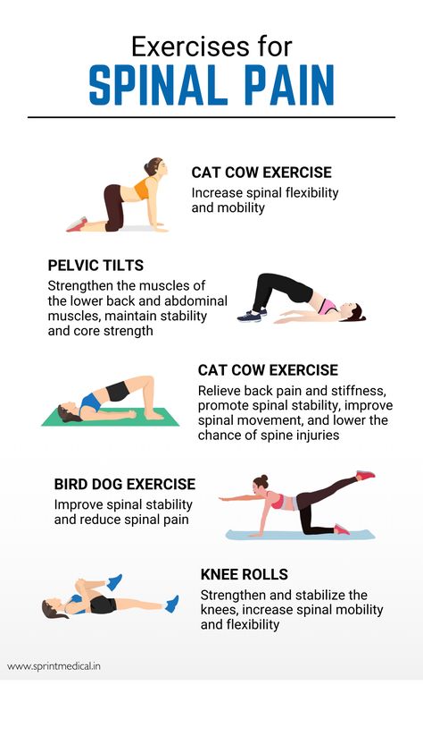 5 Exercises for Spinal Pain Spinal Strengthening Exercises, Spinal Extension Exercise, Spinal Canal Stenosis Exercises Exercises, Spine Stretching Exercises, L5 S1 Pain Relief Exercise, Spinal Decompression Exercises, Spinal Canal Stenosis Exercises, Spinal Mobility Exercises, Spine Strengthening Exercises