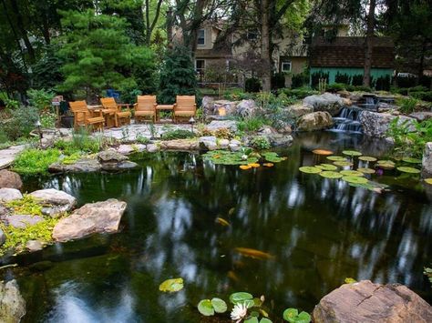 What is a Recreational Swim Pond and why are they so popular? - Amen Corner Ponds Recreational Pond, Swim Pond, Pond Construction, Century Farmhouse, Koi Ponds, Water Movement, Swimming Pond, Gunite Pool, Koi Fish Pond