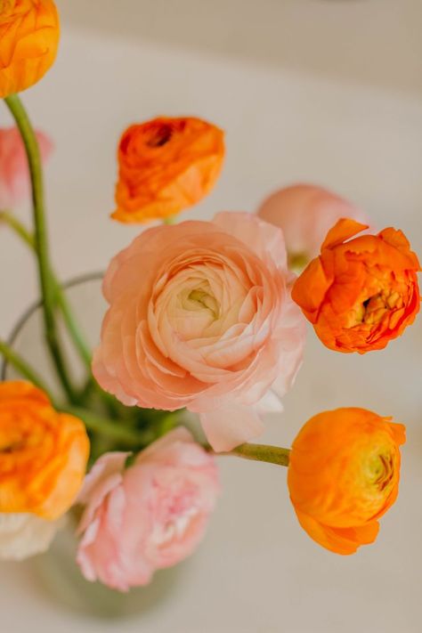 Pink And Orange Aesthetic, Make Your Own Bouquet, Tulips Orange, Bloom Bar, Peach Wedding Bouquet, Wrapped Bouquet, Stop Comparing Yourself To Others, Orange Ranunculus, Green Wedding Flowers