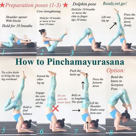 Day 19 of #yoga4growth is #pinchamayurasana #forearmbalance . The key to holding this pose is to keep the legs and core engaged while… Scorpion Pose, Beginner Pilates, Different Types Of Yoga, Yoga Illustration, Pilates Video, Yoga Beginners, Pilates Training, Sup Yoga, Yoga Posen