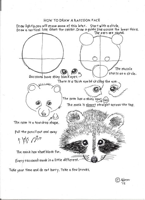 How to Draw Worksheets for Young Artist: How To Draw A Raccoon Face, Lesson and Worksheet. Draw A Raccoon, Raccoon Face, Raccoon Drawing, Art Handouts, Draw Animals, Art Worksheets, Art Instructions, Drawing Lessons, Elementary Art