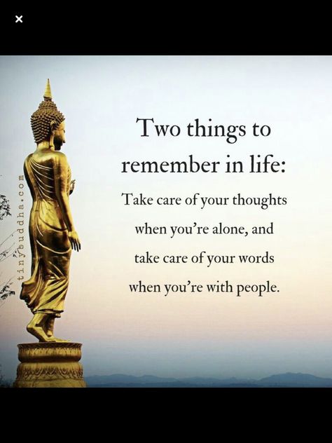 Life Is An Echo, Buddha Quotes Inspirational, Motivation Positive, Buddhism Quote, Buddhist Quotes, Buddha Quote, Buddha Quotes, Inspirational Thoughts, What You See