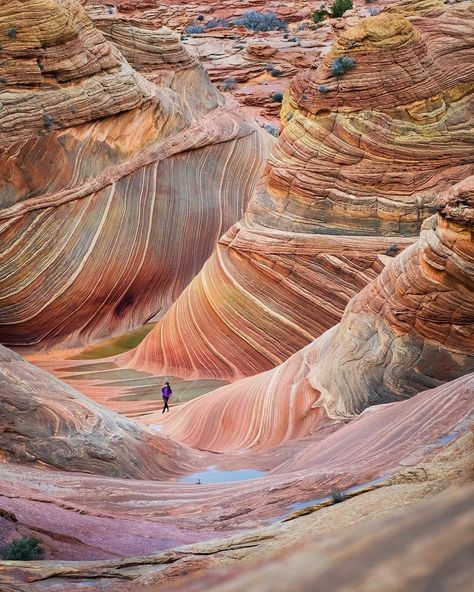 The Wave Arizona, Vermilion Cliffs, Sandstone Rock, Coyote Buttes, Paria Canyon, Colorado Plateau, Halong Bay, Arizona Travel, Rock Formations