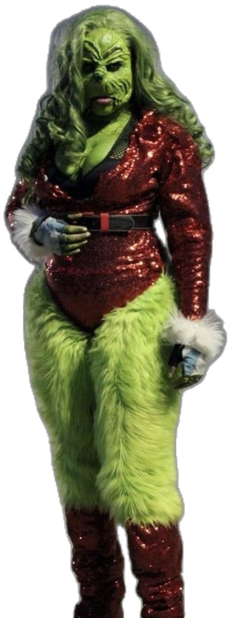 Female Grinch, Dog Mess, Weird Photos, Grinch Costumes, Ugly Outfits, Christmas Card Pictures, Meet Santa, Xmas Photos, Holiday Photoshoot