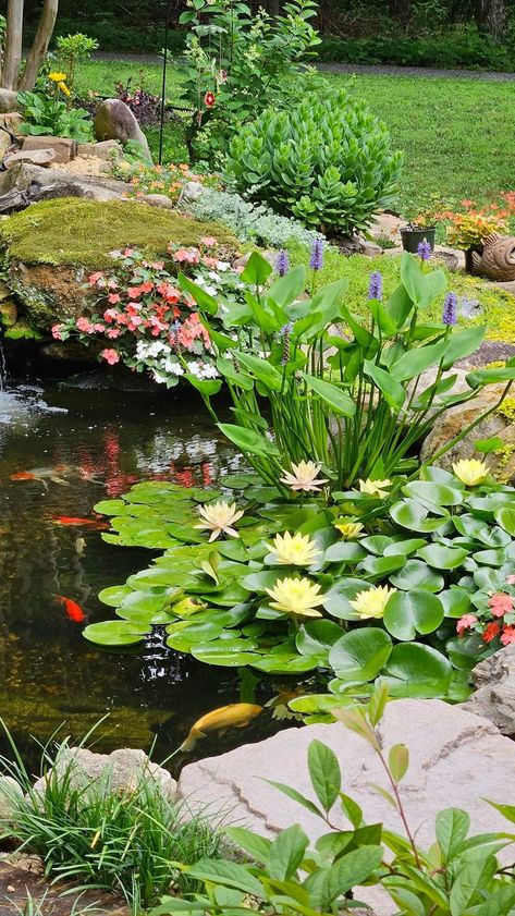 Ponds For Small Gardens, Fish Pond Gardens, Taman Air, Garden Pond Design, Pond Ideas, Pond Water Features, Natural Pond, Pond Landscaping, Pond Design