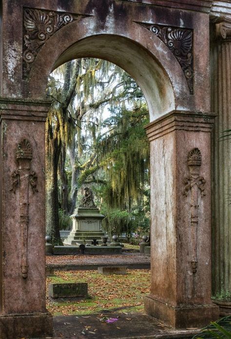 Cemetery Photography, Bonaventure Cemetery, Visit Savannah, Cemetery Art, Southern Gothic, Tybee Island, Gothic Aesthetic, Most Haunted, Son In Law