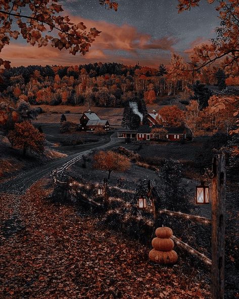 Halloween Facts, Spooky Fall, Fall Beauty, Autumn Magic, Pet Halloween Costumes, Fall Background, Halloween Autumn, Aesthetic Fall, Autumn Scenery