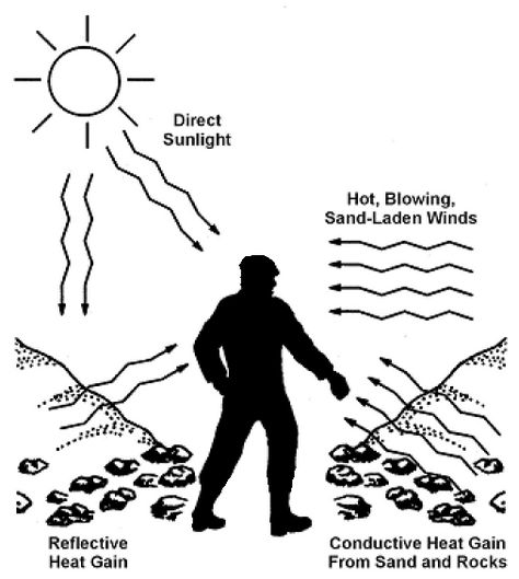 How to survive in extreme, hot conditions (desert survival). #survival #prepper #shtf #survivalist #bushcraft https://www.wildernessarena.com/environment/desert-survival/desert-survival Desert Survival, Desert Area, Dry Desert, Desert Environment, Day Club, How To Survive, In The Wild, Survival Skills, Plant Life