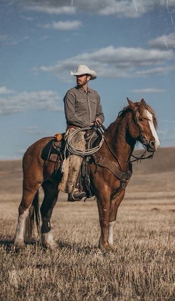 Horse Portrait Photography, Indigo Ridge, Cowboy Photography, Cowboy Pictures, Real Cowboys, Cowboy Aesthetic, Western Photography, Country Senior Pictures, Photography Shoot