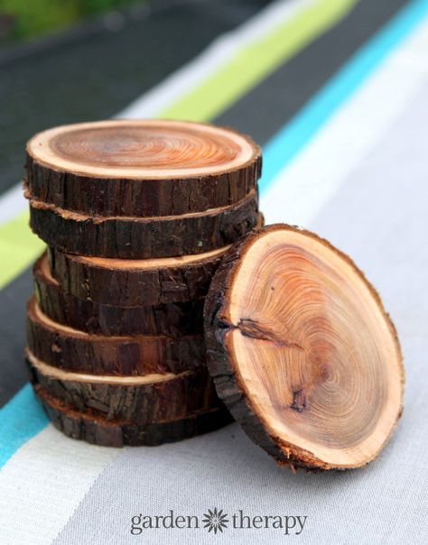 Natural Branch Coasters: How to Cut, Sand, and Seal Wood Slices Log Coasters, Wood Coasters Diy, Log Projects, Natural Branches, Homemade Home Decor, Wood Slice Crafts, Diy Crafts For Adults, Diy Holz, Diy Coasters