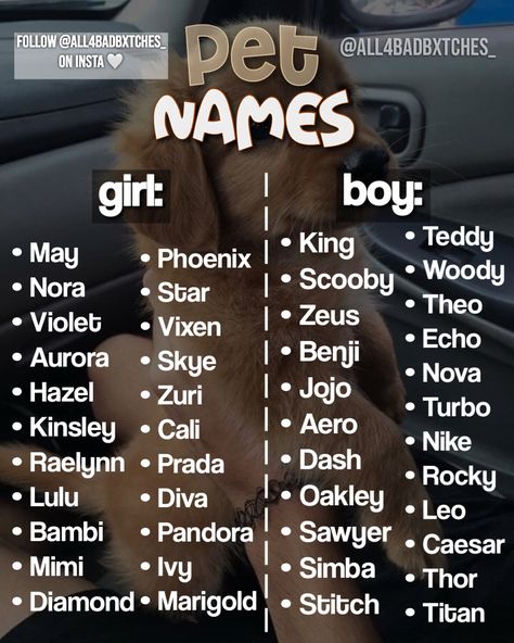 Code Names For Crushes List, Cute Country Names For Puppies, Puppy Names Aesthetic, Widgetable Pet Names, Aesthetic Kitten Names, Preppy Adopt Me Pet Names, Stuffed Animal Names Ideas, Cute Puppies Names, Aesthetic Names For Dogs