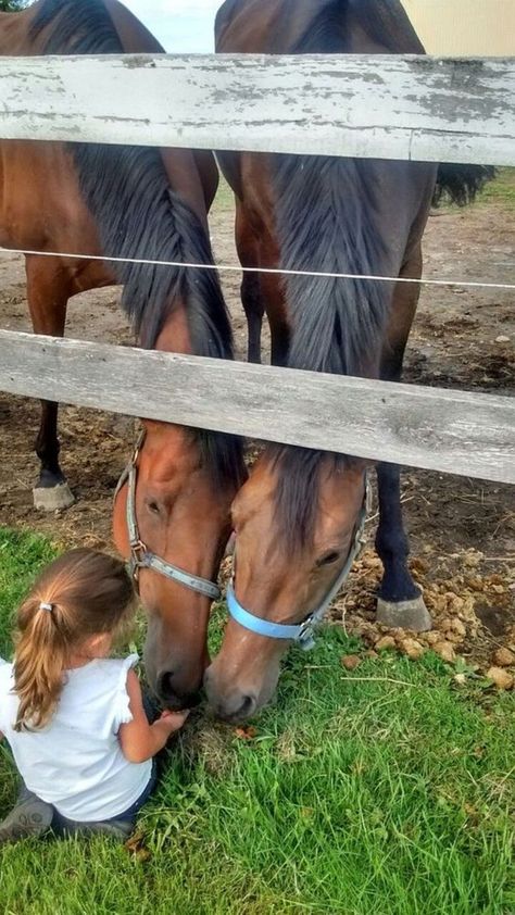 Saddle Up for Joy: 🐴 Unveiling Perfect Gifts for Your Equine-Enthusiast Girlfriend in 2024. #HorseLoversGifts #EquestrianJoy Deer Bones, Best Guard Dogs, Future Farms, Guard Dog, Western Life, Horse Aesthetic, Country Kids, Dog Safety, Horse Gifts