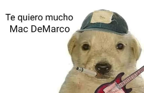 Marc Demarco, Mac Demarco, Music Mood, Big Mac, Kinds Of Music, Music Stuff, Reaction Pictures, Literally Me, Me Core