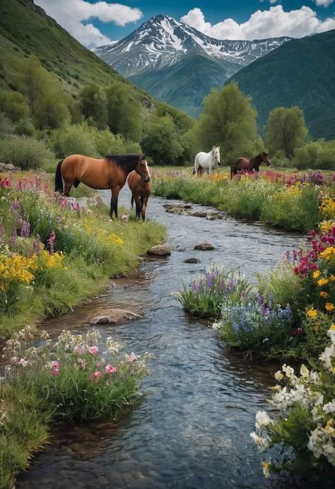 Country Morning, Terry Redlin, Photo Landscape, Beautiful Landscape Photography, Lovely Places, Morning Sunrise, Pretty Landscapes, Beautiful Locations Nature, Beautiful Places Nature