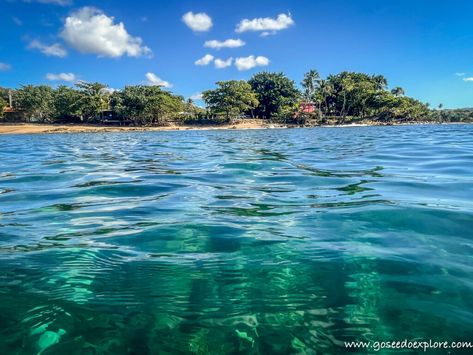 Snorkeling Puerto Rico - Go See Do Explore Best Places To Snorkel, Michigan Campgrounds, Culebra Puerto Rico, Serenade Of The Seas, Puerto Rico Island, Best Snorkeling, Norwegian Cruise Line, Norwegian Cruise, Upper Peninsula