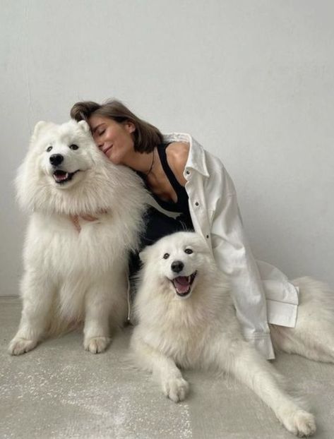 Dogs, White, Instagram