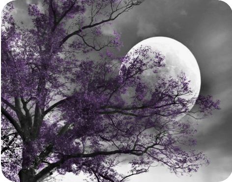 Purple Gray Bedroom Walls, Purple Gray Bedroom, White Flowering Trees, Tree Moon, Purple Wall Art, Purple Wall, Red Wall Art, Mazzy Star, Purple Trees