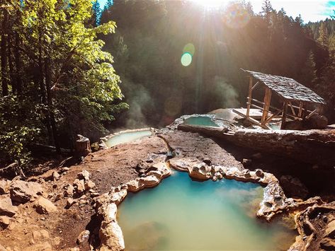 umpqua-hot-springs-oregon Oregon Hot Springs, Bagby Hot Springs, California Hot Springs, Umpqua Hot Springs, Mount Hood National Forest, Things To Do In Portland, Northern Nevada, Oregon Road Trip, Romantic Cabin