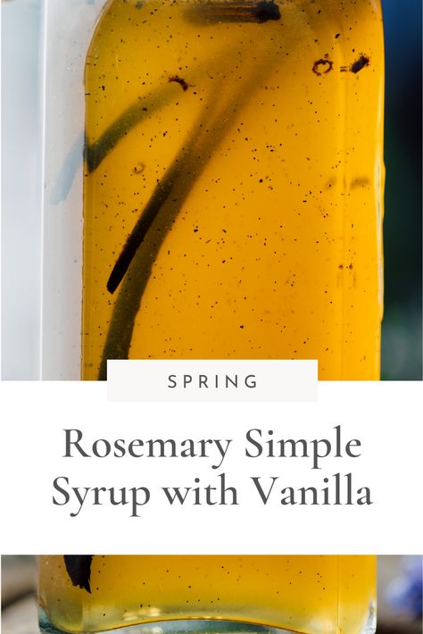 This Rosemary Simple Syrup with Vanilla is the perfect addition to any cocktail for an extra zesty flavor. It only requires a few simple ingredients, and the sweet and savory combination of rosemary and vanilla will add a unique complexity to your favorite drinks. Try it as an alternative to regular simple syrup in your favorite cocktails—it's sure to be a crowd-pleaser. Christmas Simple Syrup, Almond Simple Syrup, Simple Syrup Flavors, Flavored Simple Syrup Recipe, Vanilla Syrup For Coffee, Rosemary Syrup, Spring Drink, Rosemary Simple Syrup, Drink Syrups