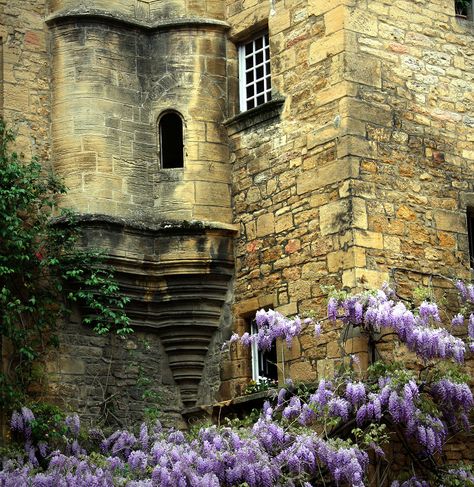 Sarlat France, Ancient Castle, Chateau Medieval, Famous Castles, Castle Tower, Chateau France, France Photos, Old Stone, Aquitaine