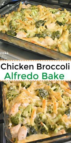 Chicken Broccoli Alfredo Bake, Broccoli Alfredo Bake, Casserole Broccoli, Chicken And Broccoli Alfredo, Alfredo Bake, Protein Veggies, Chicken Broccoli Alfredo, Easy Dinner Casseroles, Broccoli Bake