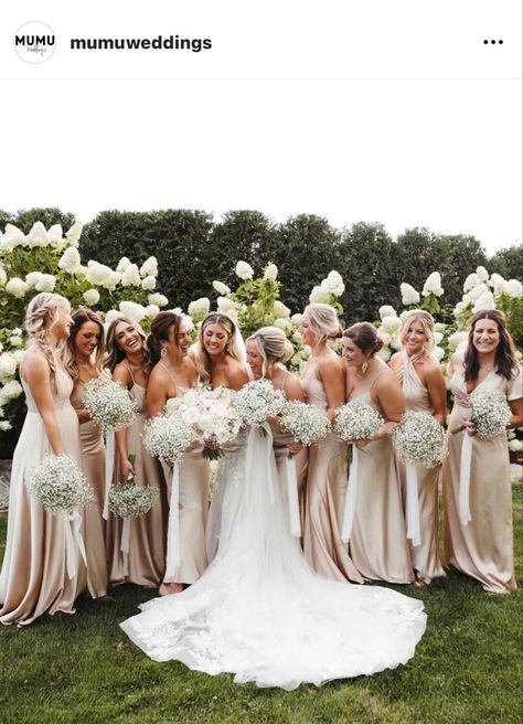 Ivory Wedding Ideas Color Schemes, May Bridesmaid Dresses, Mismatched Champagne Bridesmaid Dresses, Champagne Bridal Party, Champagne Wedding Themes, Denise Mercedes, Beige Bridesmaid Dress, Champagne Wedding Colors, Taupe Wedding