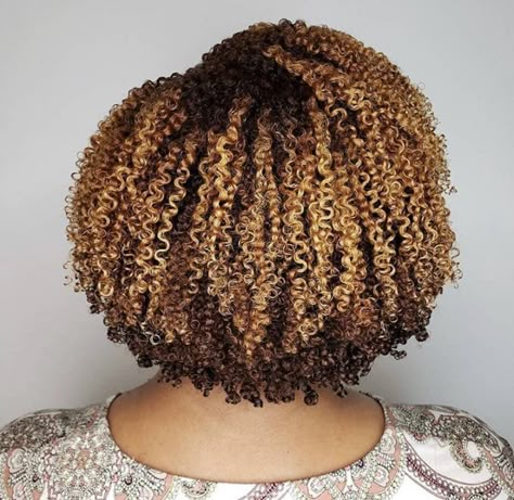 Honey Blonde Highlights On 4c Natural Hair, Dyed Afro Hair 4c Blonde, Black Hair Honey Blonde Highlights, Coily Highlights, Highlights On Natural Hair Black Women, Blonde 4c Natural Hair, 4c Hair Highlights, Unicorn Curls, Afro Hair Color