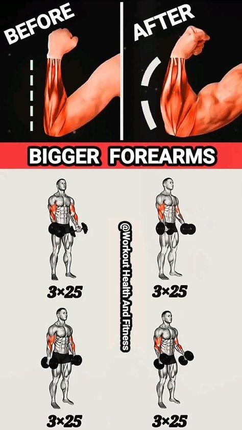 Bigger Forearms, Big Biceps Workout, Shoulder Workout Routine, Dumbbell Arm Workout, Horrible Tattoos, Master Tattoo, Workout Gym Routine, Gym Workout Guide, Forearm Workout