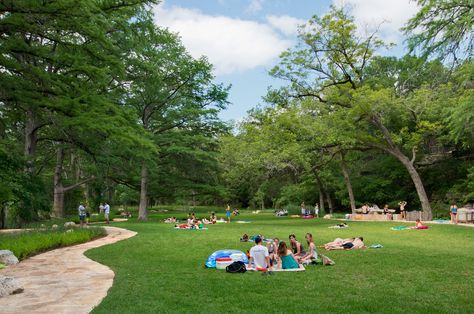 Community Park Design, Bicycle Parking Design, Lake Landscaping, Texas Parks, Bald Cypress, Relaxing Reading, Park Design, Nature School, Interior Design Presentation