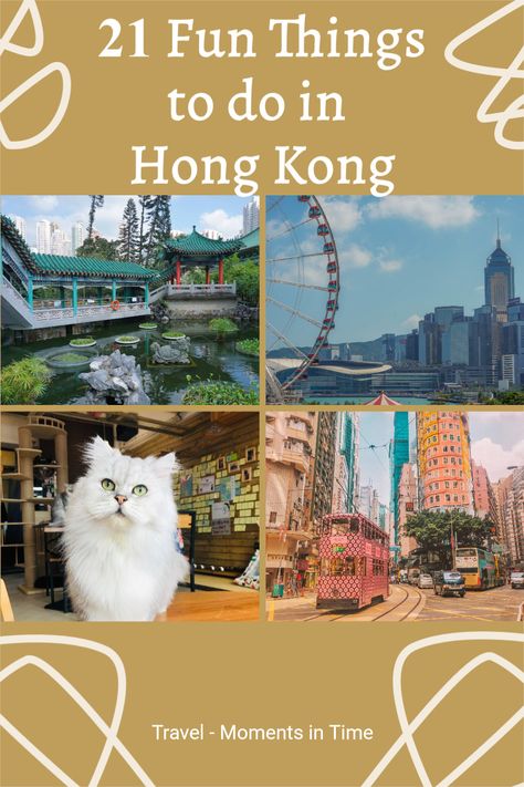 21 Fun things to do in Hong Kong no matter how much time you spend in the city - Travel Moments In Time - travel itineraries, travel guides, travel tips and recommendations Hong Kong Itinerary, Repulse Bay, Travel International, Wild Camp, Hong Kong Island, Moments In Time, Travel Moments, Hong Kong Travel, Ocean Park