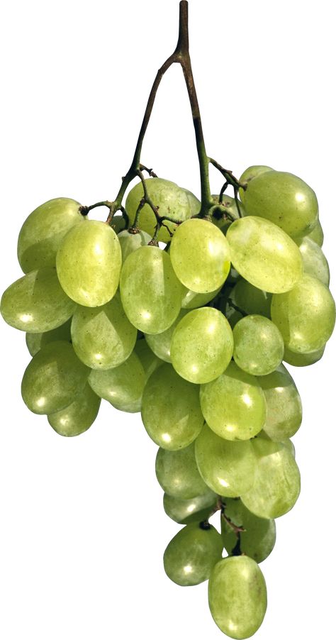 Drawing High Heels, Photo Png, Chenin Blanc, Sky Photography Nature, Watercolor Fruit, Grape Seed Extract, Green Grapes, Fruit Art, Fruit And Veg