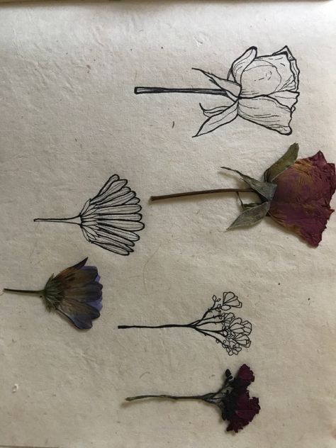 Rose-dry flower-hand drawn Pressed Flower Drawing, Dry Flowers Tattoo, Dry Flower Tattoo, Dried Rose Tattoo, Pressed Flower Tattoo, Dried Flowers Tattoo, Dried Flower Tattoo, Dead Flower Drawing, Book Pressed Flowers