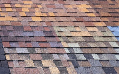 Roof Shingles Colors, Roof Shingle, Roof Shingle Colors, Shingle Roof, Roof Damage, Shingle Colors, Asphalt Roof, Asphalt Roof Shingles, Red Brick House