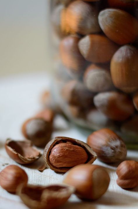 Hazelnuts Photography, Hazelnut Aesthetic, Hazelnut Milk Recipes, Hazelnut Photography, Nut Photography, Food And Mood, Fruit Collage, Christmas Nuts, Hazelnut Milk