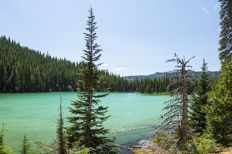 Wallowa Lake Oregon, Diamond Lake Oregon, Devils Lake Oregon, Drift Creek Falls Oregon, Lake Billy Chinook Oregon, Oregon Vacation, Oregon Road Trip, Camping Spots, Scenic Byway