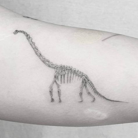 Brachiosaurus Tattoo, Inked Sketch, Amsterdam Tattoo, Dinosaur Tattoos, Single Needle Tattoo, B Tattoo, Sketch Drawing, Armband Tattoo, Tattoo Ideas Design