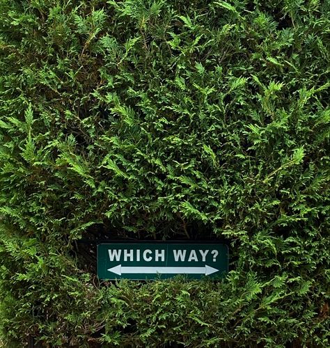 Heavily condensed evergreen hedge plant with a shaded sign that states “which way?” With an arrow below the words pointing both left and right Labyrinth Aesthetic Maze, Hedge Maze Aesthetic Dark, Hedge Maze Aesthetic, Hedge Aesthetic, Maze Aesthetic, Cheetah Print Pillow, Natural Wood Vanity, Black And White Cheetah Print, Hedge Maze