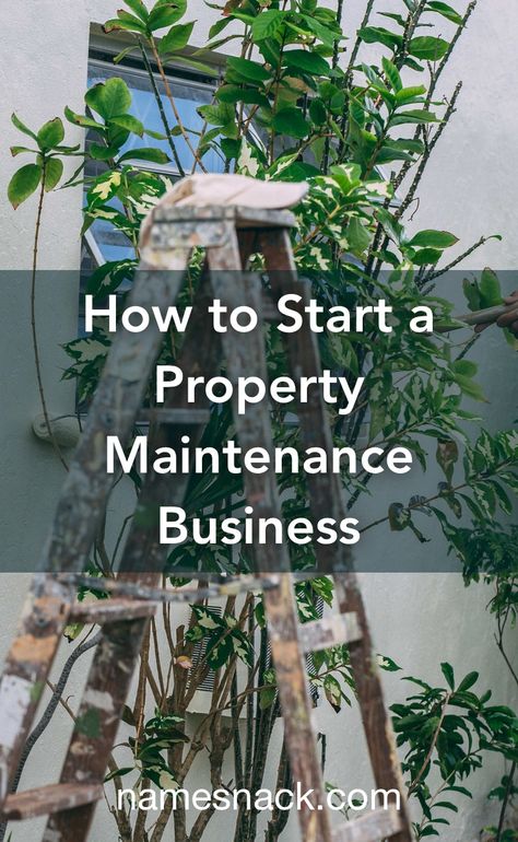 Property Preservation Business, Property Management Organization, Property Management Business, Business Llc, Property Preservation, Property Management Marketing, Foreclosure Cleaning, Airbnb Business, Entrepreneur Books