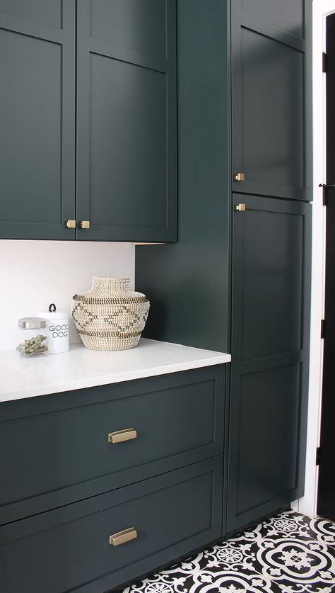 Dark Green Cabinets, Ikea Bodbyn, Diy Kitchen Makeover Ideas, Full Kitchen Remodel, Dark Green Kitchen, White Laundry Rooms, Makeover Kitchen, Cabinets Makeover, Green Laundry