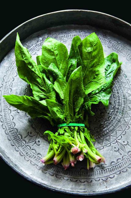 Spinach Green Food Photography, Food Photography Vegetables, Cooking With Fresh Herbs, Vegetables Photography, Spring Food, Incredible Edibles, Energy Foods, Leafy Vegetables, Travel Magazine