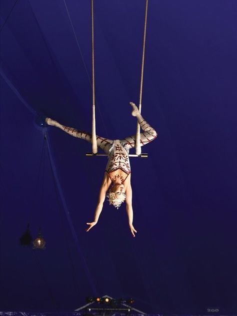 Trapeze Aesthetic, Dance Trapeze, Trapeze Circus, Aerial Costume, Circus Aesthetic, Circus Sideshow, Trapeze Artist, Aerial Acrobatics, Circus Performers