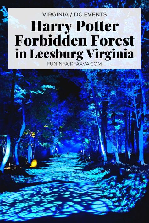 A Magical Harry Potter Forbidden Forest Comes to Leesburg VA Harry Potter Forbidden Forest Experience, Harry Potter Forbidden Forest, Fantastical Creatures, Leesburg Virginia, Forbidden Forest, Virginia Travel, Harry Potter Magic, Magic Forest, Usa Travel Destinations