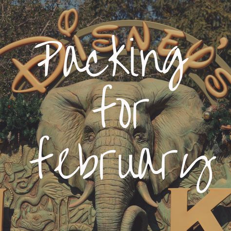 Disney Parks Outfits February, What To Pack For Florida In February, February Florida Outfits, Florida February Outfits, Disney February Outfits, Disney In February Outfits, February Disney Outfits, Universal Studios Orlando Outfit Winter, February Disney World Outfits