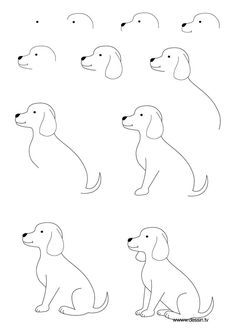 The kids will love this How to Draw a Dog Step by Step Instructions | learn how to draw a puppy with simple step by step instructions How To Draw Painting, Trin For Trin Tegning, Draw A Dog, 심플한 그림, Draw Painting, 강아지 그림, Pola Sulam, 캐릭터 드로잉, Creative Drawing