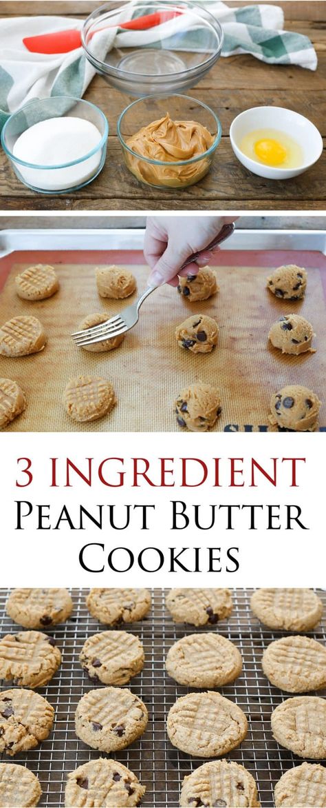 Three Ingredient Peanut Butter Cookies are so simple, you can make them in minutes! get the easy recipe at barefeetinthekitchen.com Three Ingredient Peanut Butter Cookies, 3 Ingredient Peanut Butter Cookies, Diy Cookies, Baked Desserts, 3 Ingredient Recipes, Dessert Simple, Easy Bake, Easy Cheesecake Recipes, Sugar Sugar